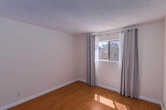 355 S Madison Ave in Pasadena, CA - Building Photo - Building Photo