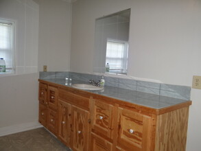 31577 Cane Market Rd in Walker, LA - Building Photo - Building Photo