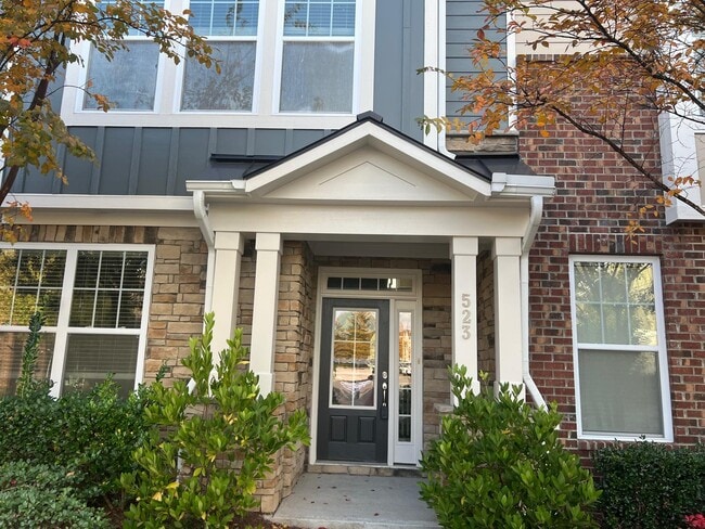 property at 523 Balsam Fir Dr