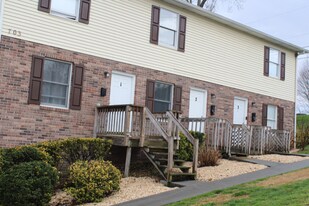 703 Fall St in Johnson City, TN - Building Photo