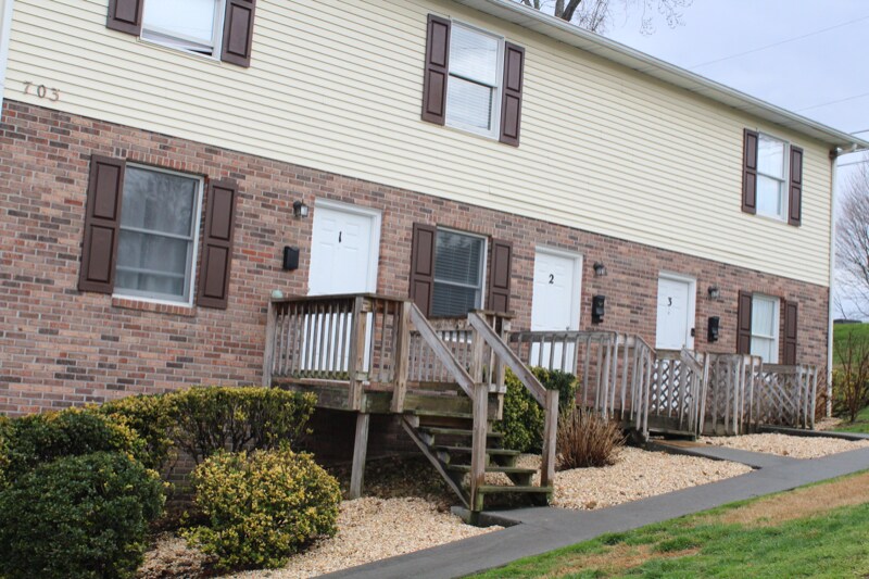 703 Fall St in Johnson City, TN - Building Photo