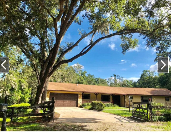 4807 Shetland Trail in Orlando, FL - Building Photo - Building Photo