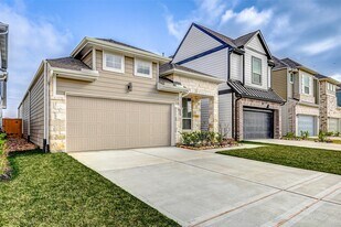 21110 Garden Palm Dr in Cypress, TX - Building Photo