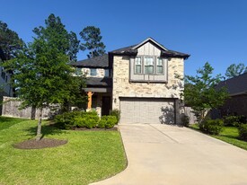 224 Golden Shiner Dr in Willis, TX - Building Photo