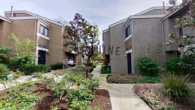 38 Starfish Ct in Newport Beach, CA - Building Photo - Building Photo