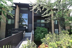 6143 Knoll Wood Rd in Willowbrook, IL - Building Photo