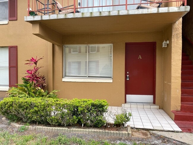 925 W Oak Ridge Rd in Pine Castle, FL - Building Photo - Building Photo