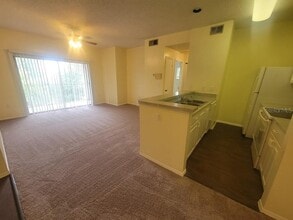 10020 Strafford Oak Ct in Tampa, FL - Building Photo - Building Photo