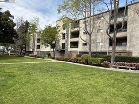 25850 Kay Ave in Hayward, CA - Building Photo