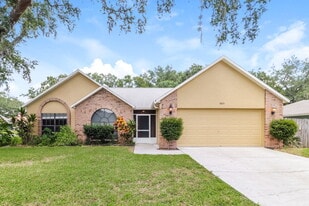 10314 Ashley Oaks Dr in Riverview, FL - Building Photo