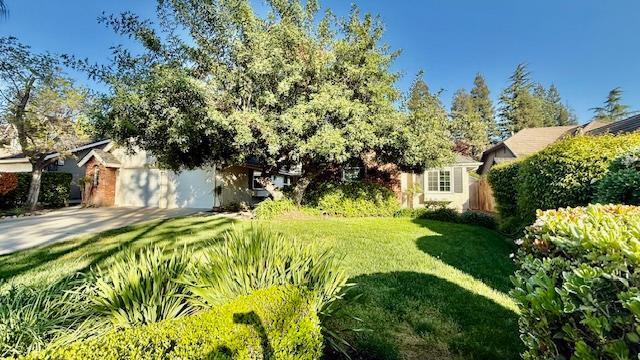 564 E Braddock Dr in Fresno, CA - Building Photo - Building Photo