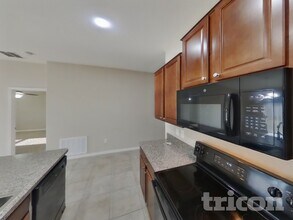 14107 Covert Green Pl in Riverview, FL - Building Photo - Building Photo