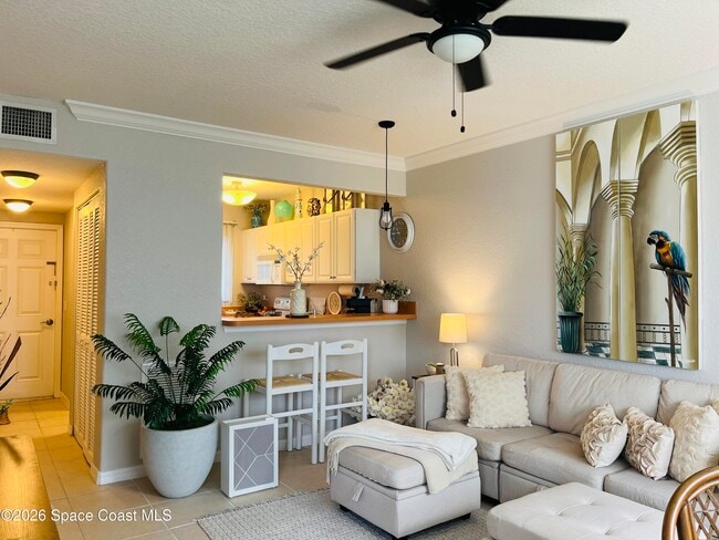 625 Ocean Park Ln in Cape Canaveral, FL - Building Photo - Building Photo