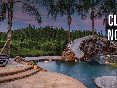 30268 Southernwood Ct in Wesley Chapel, FL - Building Photo - Building Photo
