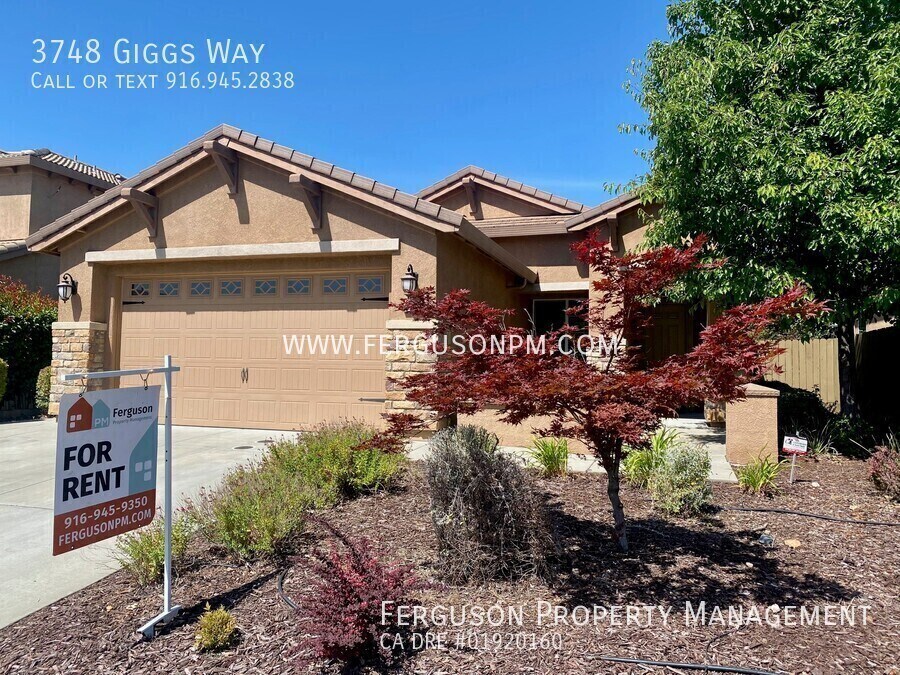 3748 Giggs Way in Roseville, CA - Building Photo