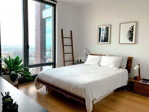 250 Ashland Pl in Brooklyn, NY - Foto de edificio - Building Photo