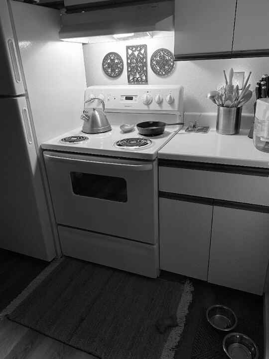 334 Wells Ave S, Unit 404 in Renton, WA - Building Photo