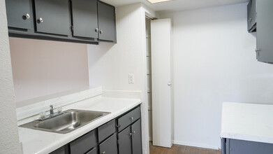 Thicket Apartments in Houston, TX - Foto de edificio - Building Photo