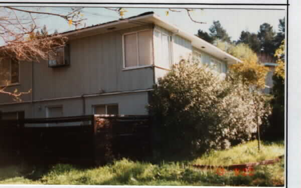 3510 Deer Hill Rd in Lafayette, CA - Building Photo - Building Photo