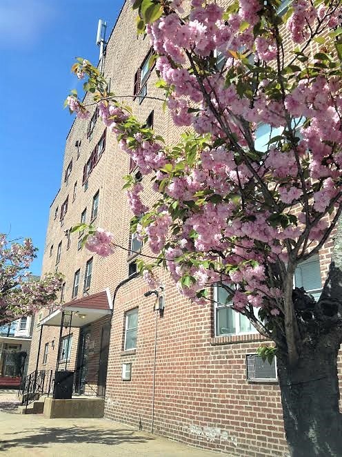 Oxford Towers in Philadelphia, PA - Building Photo - Building Photo