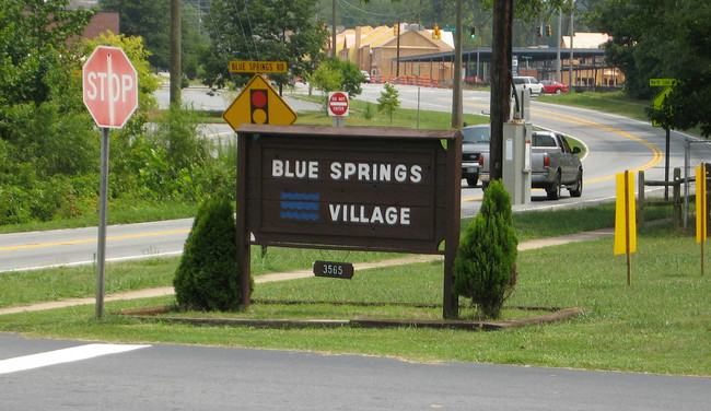 Blue Springs Village in Kennesaw, GA - Building Photo - Building Photo