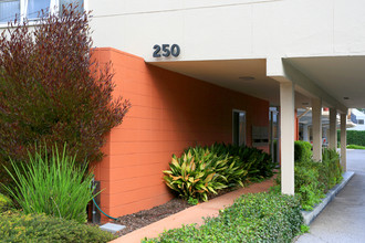 250 N San Mateo Dr in San Mateo, CA - Building Photo - Building Photo