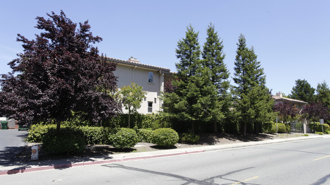 Luxor Court in Moraga, CA - Foto de edificio - Building Photo