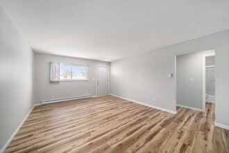 210 W Locust St in Three Oaks, MI - Foto de edificio - Building Photo