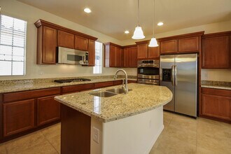 12047 N Golden Mirror Dr in Marana, AZ - Building Photo - Building Photo