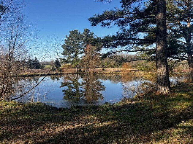 19245 Tuttle Rd in Elkins, AR - Building Photo - Building Photo