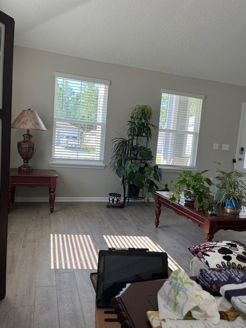 70316 Winding River Dr in Yulee, FL - Foto de edificio - Building Photo