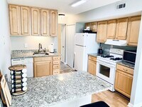 2051 Royal Fern Ct photo'