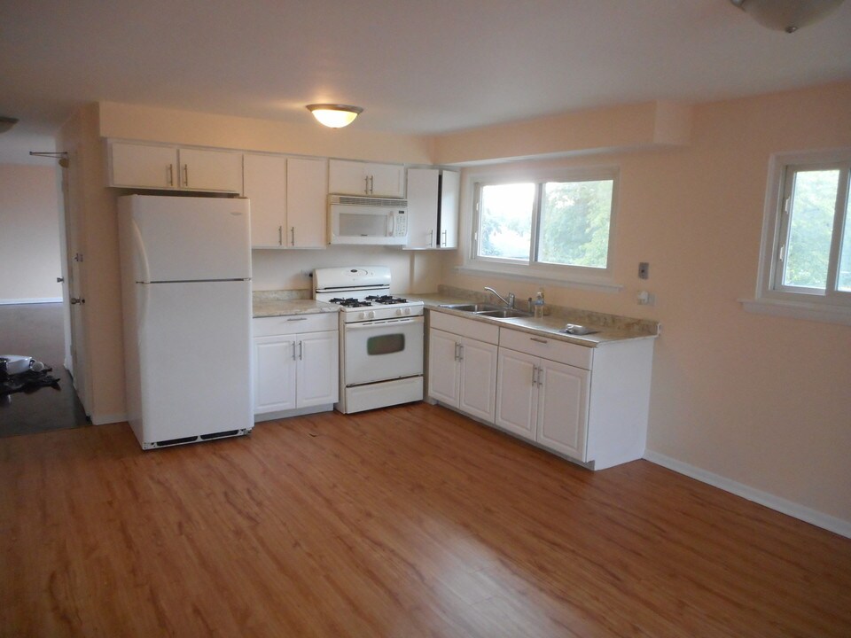 13701 S Atlantic Ave in Riverdale, IL - Building Photo