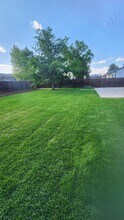 3209 Collins Ave in Evans, CO - Building Photo - Building Photo