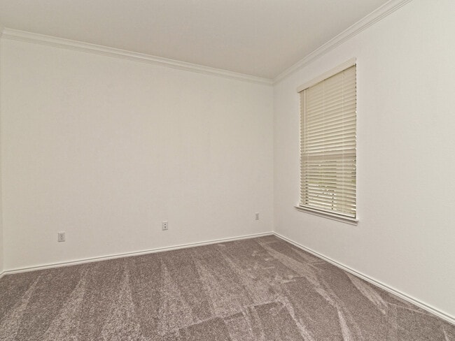 1625 Holly Lk Dr in Leander, TX - Building Photo - Building Photo