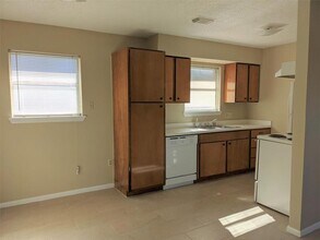 915 Alexander St in Houston, TX - Building Photo - Building Photo