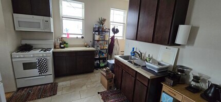 1532 W 18th Pl in Chicago, IL - Building Photo - Building Photo