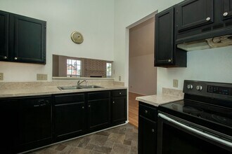 436 Chestnut Ln in Desoto, TX - Building Photo - Building Photo