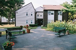 Groveland in Mattapan, MA - Foto de edificio - Building Photo