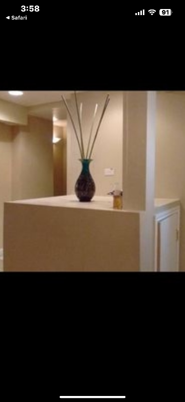 24 S Leavitt St in Chicago, IL - Building Photo - Building Photo