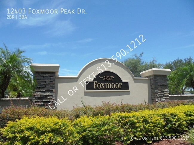 12403 Foxmoor Peak Dr in Riverview, FL - Foto de edificio - Building Photo