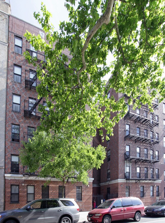 666 Willoughby Ave in Brooklyn, NY - Building Photo - Building Photo