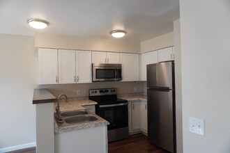 3953 N Palm Grove Dr in Tucson, AZ - Building Photo - Building Photo