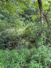 35 Keystone Rd in Gouldsboro, PA - Building Photo - Building Photo