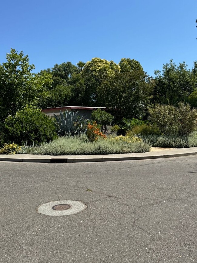 902 Gregory Pl in Davis, CA - Building Photo - Building Photo