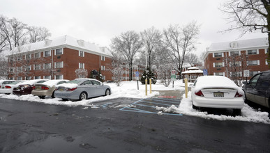 Schaefer Gardens in Union, NJ - Building Photo - Building Photo