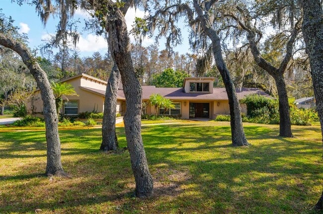 10206 Lakeview Dr in New Port Richey, FL - Building Photo - Building Photo