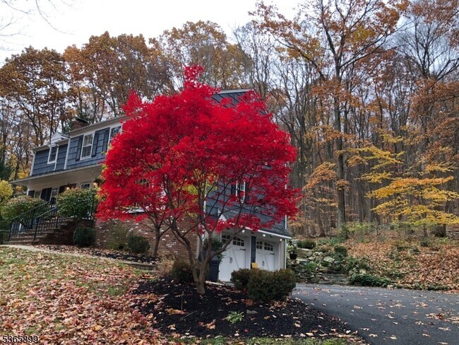 67 Frog Hollow Rd in Califon, NJ - Building Photo - Building Photo