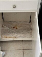 2443 Cleveland St in Hollywood, FL - Building Photo - Building Photo