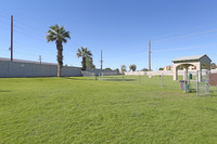 Terra Vida in Mesa, AZ - Building Photo - Building Photo